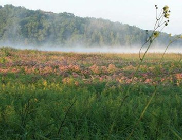 Tour Wisconsin's John Muir Nature and History Route