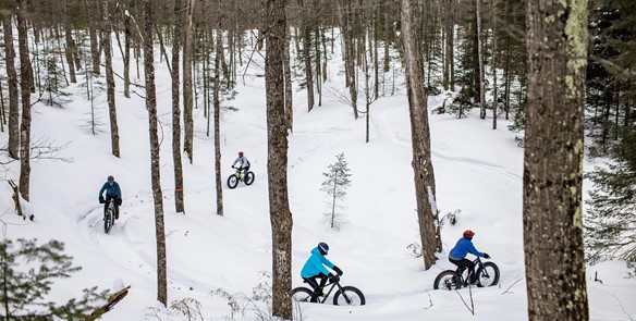Ride Year-Round: Fat Tire Biking in Wisconsin