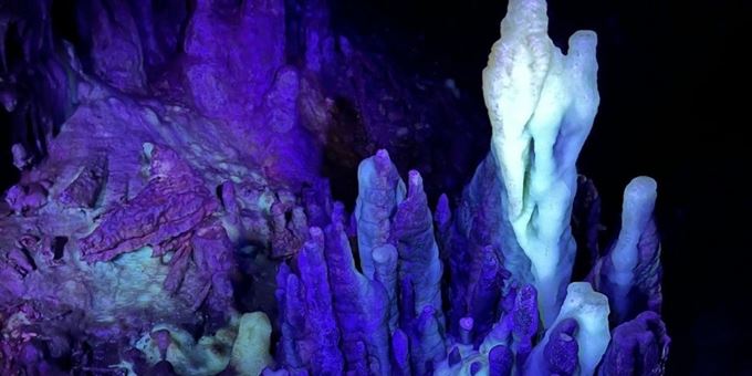 Formation looks like a parrot is glowing under UV light on the Cave of the Mounds Blacklight Tour