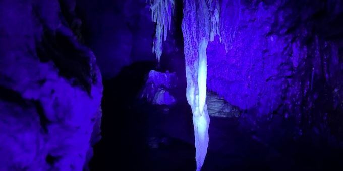 A UV light shines down a dark cave and formations pop out in neon green under the light at Cave of the Mounds