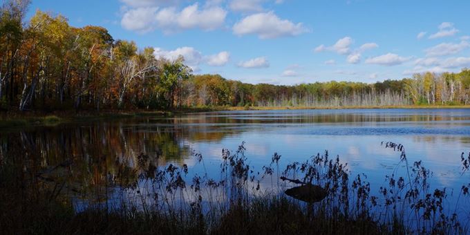 Tower Lake in the Rainbow Wilderness, Bayfield County.