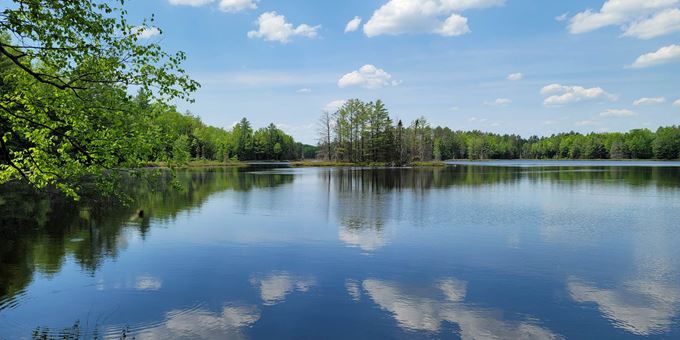 Shoreline at High Lake.