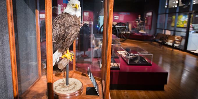 WVM 19th Century Gallery